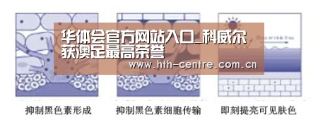 华体会官方网站入口_科威尔获澳足最高荣誉(图3) 华体会官网下载