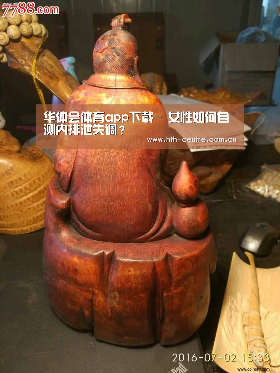 华体会官网下载