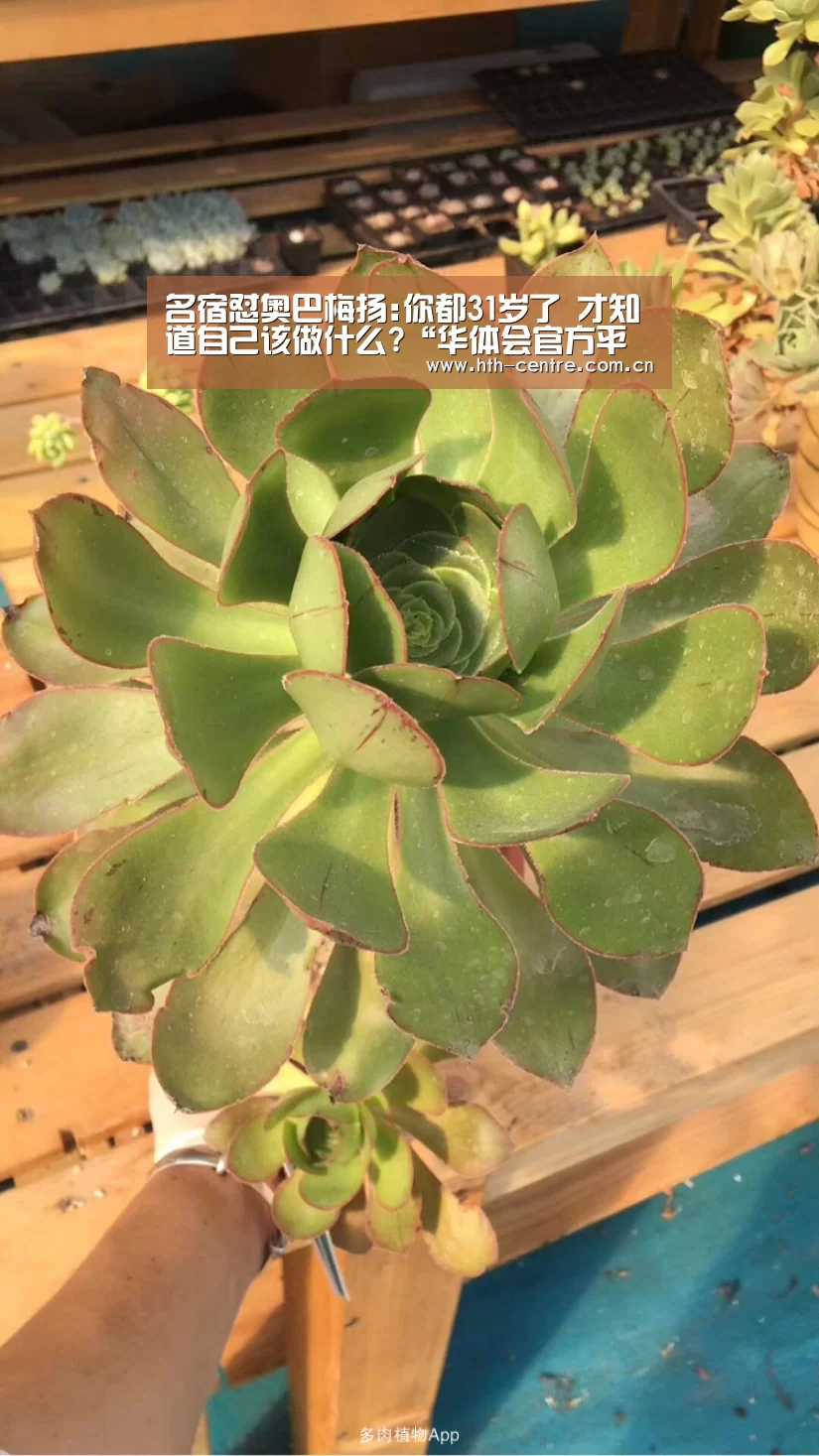 名宿怼奥巴梅扬:你都31岁了 才知道自己该做什么?“华体会官方平台”(图3) 华体会官网下载
