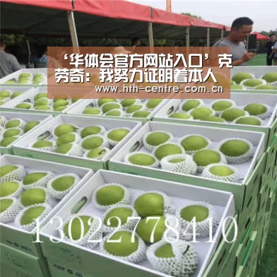 华体会官方平台