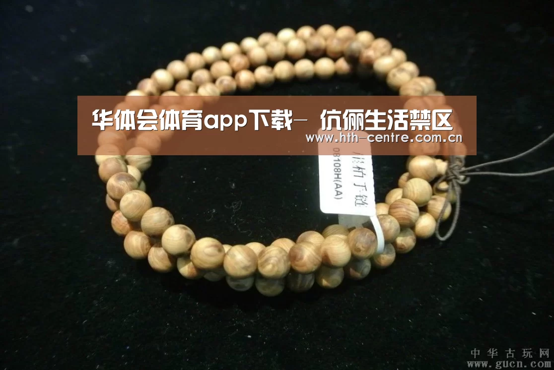 华体会官方网站入口