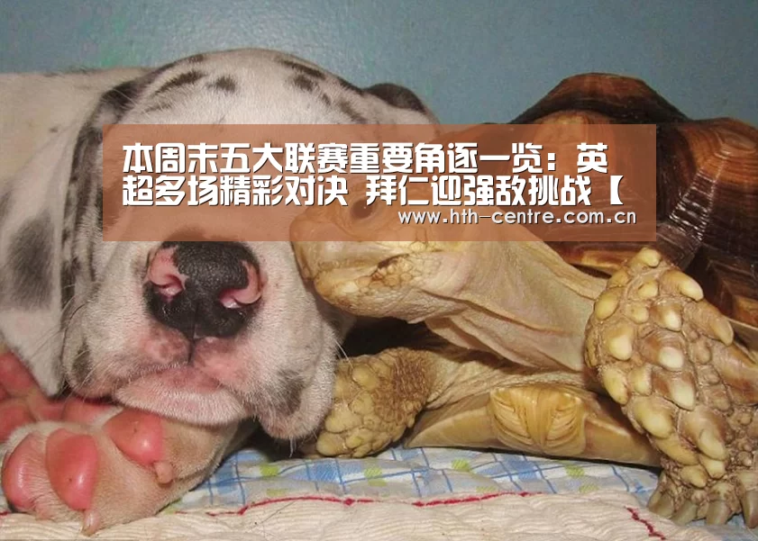 本周末五大联赛重要角逐一览:英超多场精彩对决 拜仁迎强敌挑战【华体会官网下载】(图3) 华体会体育app下载
