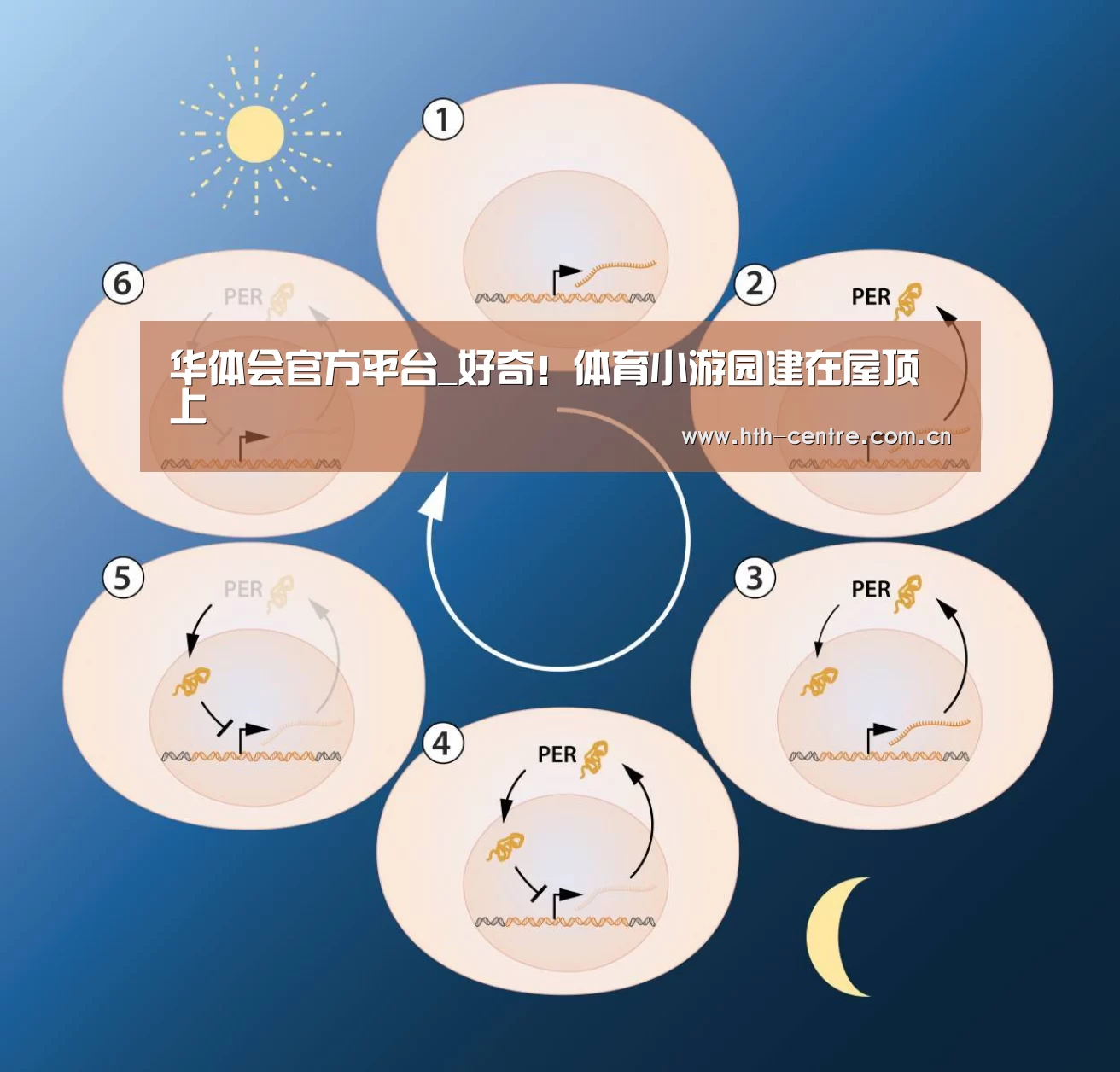 华体会官方平台_好奇!体育小游园建在屋顶上(图1) 华体会官网下载