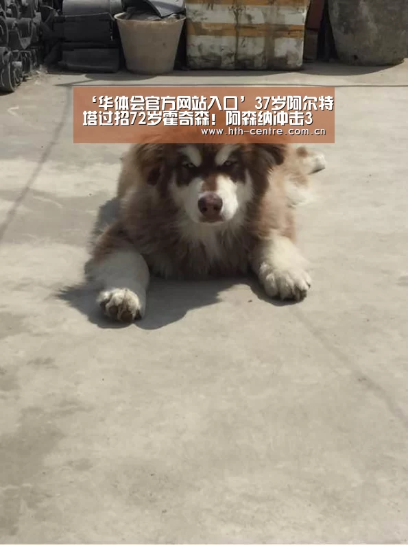 ‘华体会官方网站入口’37岁阿尔特塔过招72岁霍奇森!阿森纳冲击3连胜(图1) 华体会官方网站入口