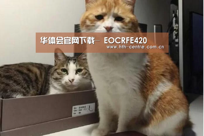 华体会官网下载-
EOCRFE420(图3) 华体会官方平台