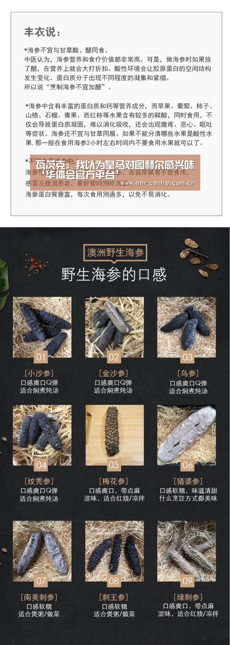 华体会官方网站入口