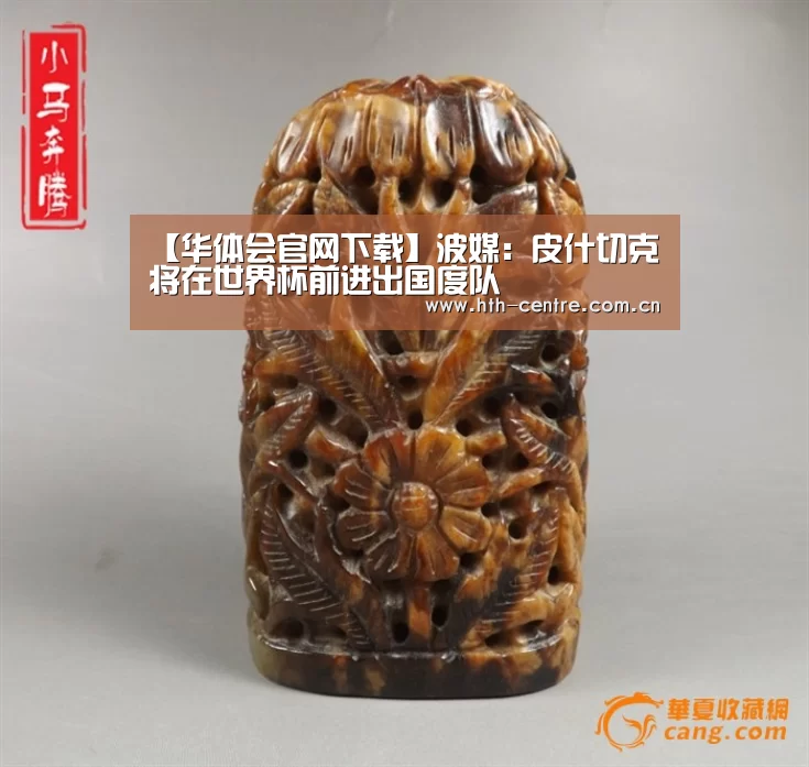【华体会官网下载】波媒:皮什切克将在世界杯前进出国度队(图3) 华体会官方平台