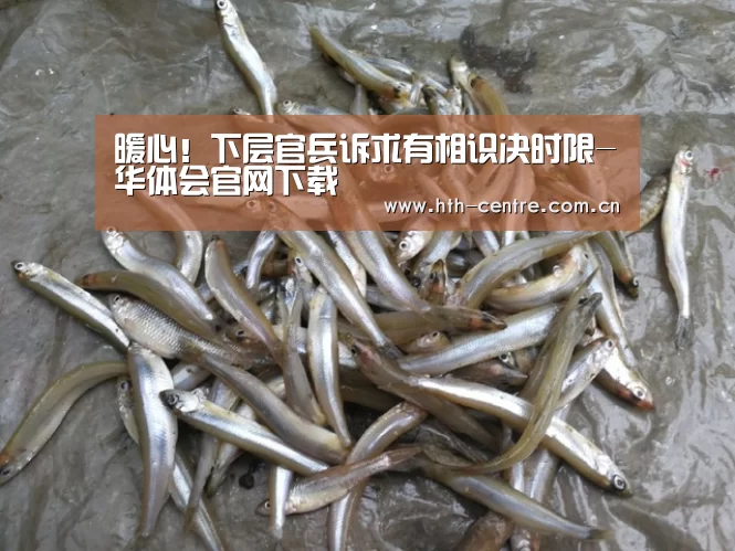 暖心!下层官兵诉求有相识决时限-华体会官网下载(图3) 华体会官网下载