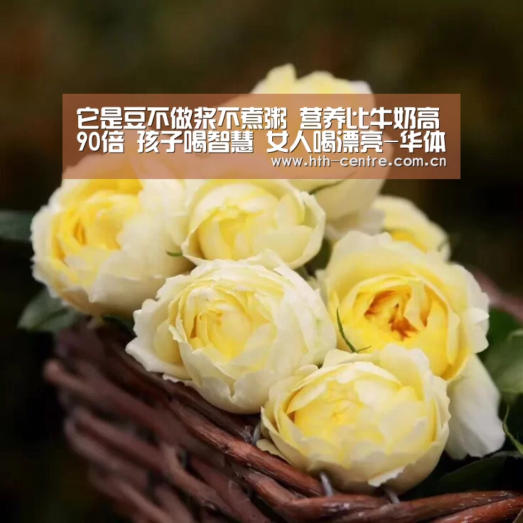 它是豆不做浆不煮粥 营养比牛奶高90倍 孩子喝智慧 女人喝漂亮-华体会官网下载(图2) 华体会官网下载